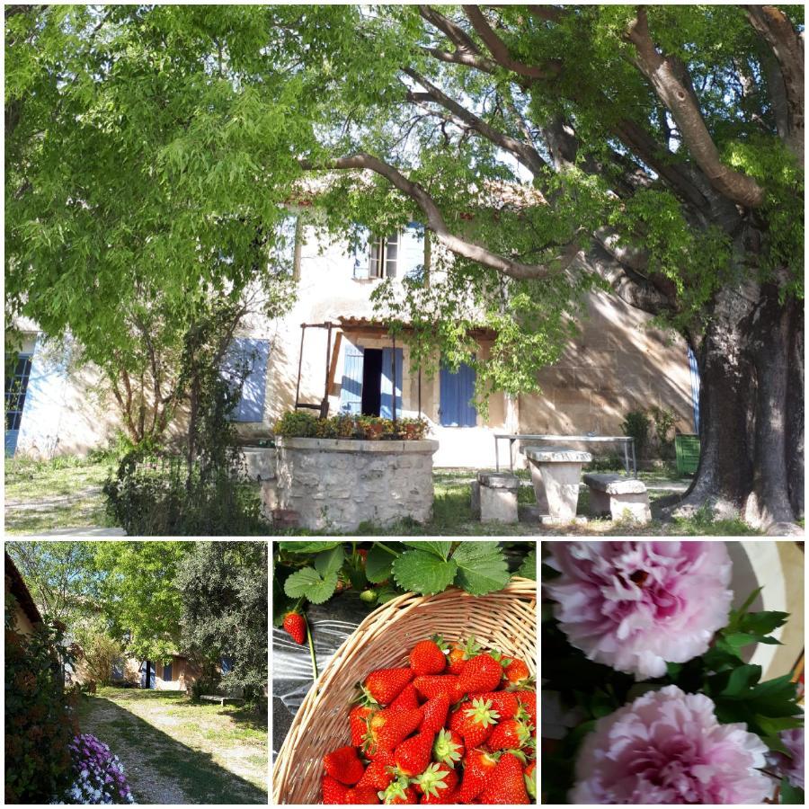 Bed and Breakfast Mas Saint-Joseph Fontvieille Zewnętrze zdjęcie